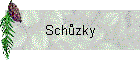 Schzky