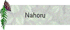 Nahoru